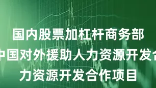国内股票加杠杆商务部主办的中国对外援助人力资源开发合作项目