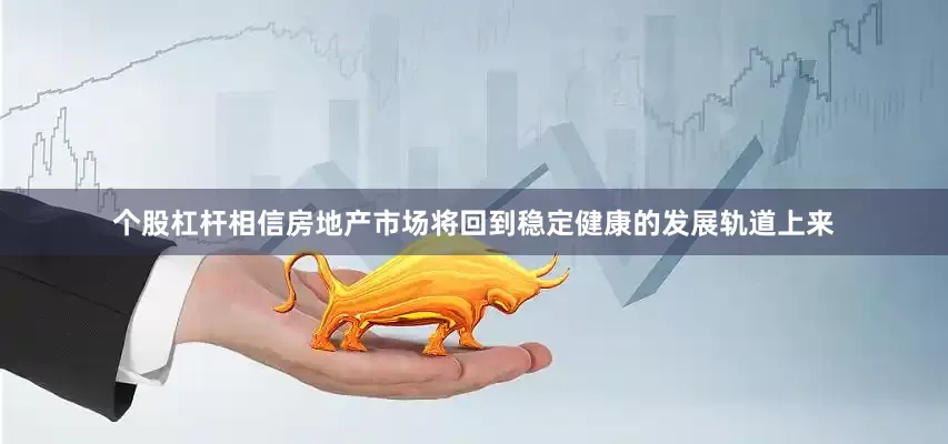 个股杠杆相信房地产市场将回到稳定健康的发展轨道上来