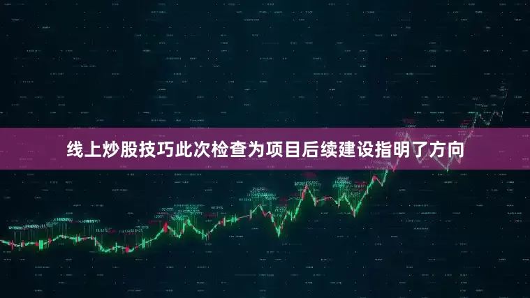 线上炒股技巧此次检查为项目后续建设指明了方向