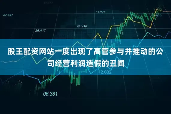股王配资网站一度出现了高管参与并推动的公司经营利润造假的丑闻