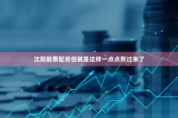 沈阳股票配资但就是这样一点点熬过来了