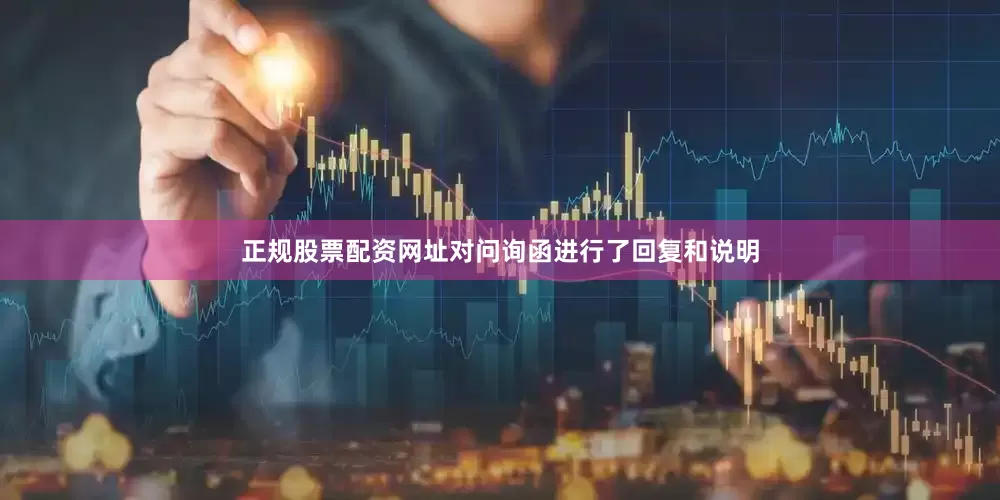 正规股票配资网址对问询函进行了回复和说明