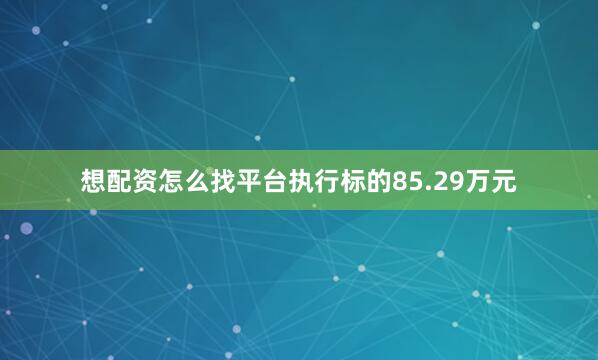 想配资怎么找平台执行标的85.29万元