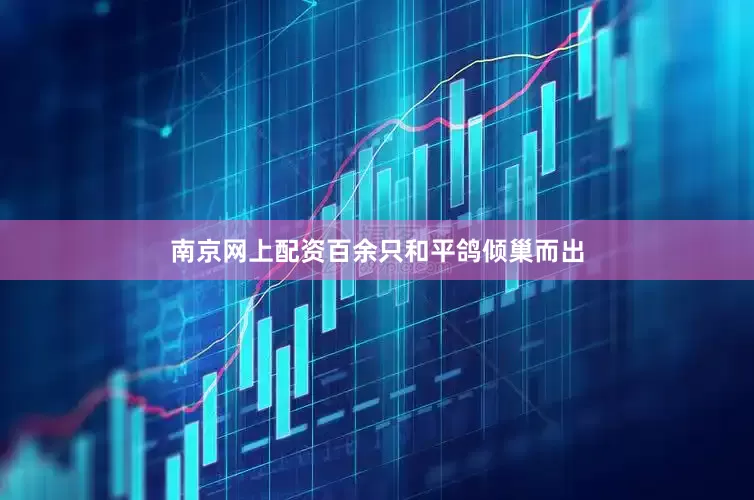 南京网上配资百余只和平鸽倾巢而出