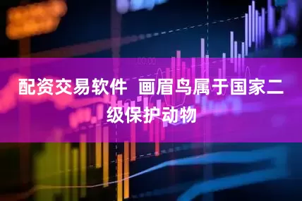 配资交易软件  画眉鸟属于国家二级保护动物