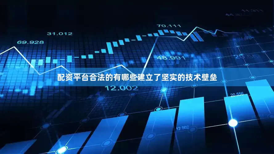 配资平台合法的有哪些建立了坚实的技术壁垒
